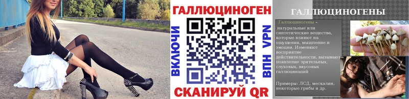 Галлюциногенные грибы GOLDEN TEACHER купить цена Салаир