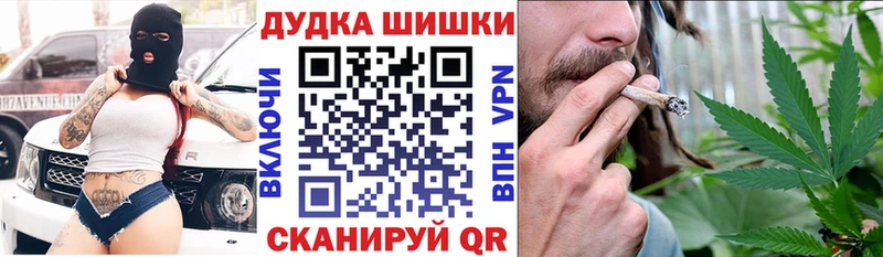 Бошки Шишки семена  Салаир 